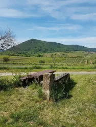 Picknickplatz Schloßgarten mit Pfälzerwald
