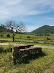 Picknickplatz Schloßgarten