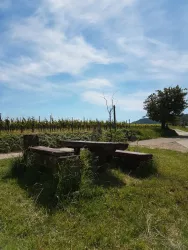 Picknickplatz Schloßberg