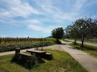 Picknickplatz Schloßgarten Aussicht Weinberge