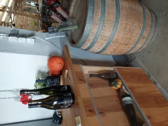 Weine (© Weingut Wind-Rabold)