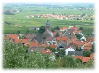 Aussicht auf Burrweiler (© Fam. Weber)
