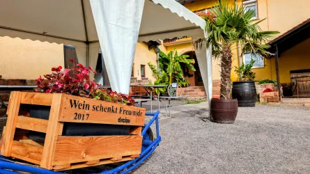 Ein schöner Außenbereich mit einem Pavillon und einem Holzregal, das mit Blumen dekoriert ist. Im Hintergrund sind Palmen und eine gemütliche Atmosphäre sichtbar.