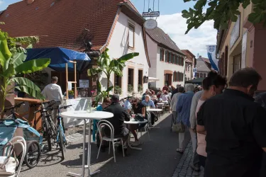 Eine belebte Straße mit Gästen, die an Tischen im Freien sitzen. Im Hintergrund sind alte Gebäude und Palmen zu sehen.