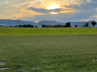 Eine weite Wiese mit grünem Gras und einem Sonnenuntergang am Horizont. Die Landschaft wird von sanften Hügeln und einigen Bäumen umrahmt.