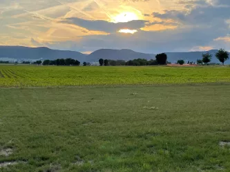 Aussicht Wohnmobilstellplatz (© Weingut Geißert)