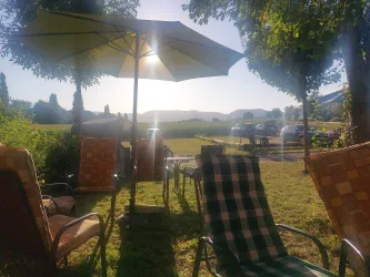 Weingut Geistert im Ort - Blick in die Haardt
