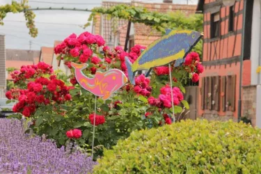 Ortsbild_Blumen und Fische