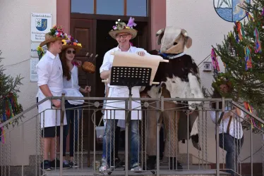 Blesskerwe Bruchweiler-Bärenbach - Straußbuwe (© Tourist-Information Dahner Felsenland)