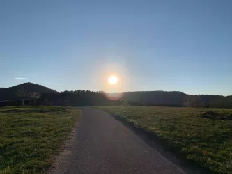 Radwege