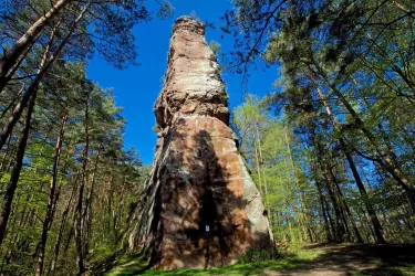 Geiersteine bei Bruchweiler-Bärenbach_01 (© Kurt Groß)