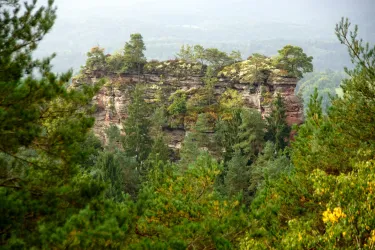Eine felsige Erhebung umgeben von grünen Bäumen. Im Hintergrund ist eine neblige Landschaft zu sehen.