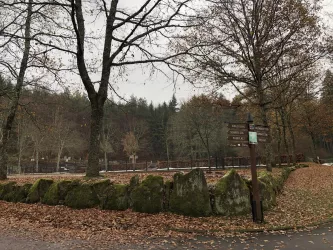 Parkplatz am Friedhof (© Adrian Stilgenbauer)