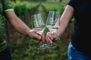 POP UP Vinothek