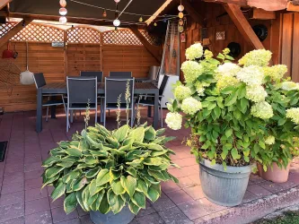 Überdachte Terrasse