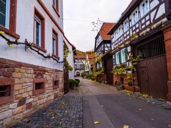 Eine malerische Straße mit Fachwerkhäusern und gepflastertem Boden. Bunte Blätter liegen auf dem Boden und die Atmosphäre wirkt charmant und einladend.