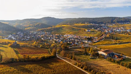 Eine malerische Landschaft mit bunten Weinbergen und einem kleinen Dorf. Die sanften Hügel unter einem klaren Himmel schaffen eine idyllische Atmosphäre.