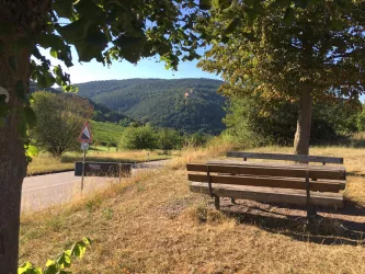Picknickplatz Blick zur Burg Landeck (© Archiv Tourismusverein Süw Bad Bergzabern e.V.)