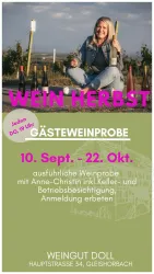 Ein Werbematerial für eine Weinprobe im Weingut Doll. Die Veranstaltung findet vom 10. September bis zum 22. Oktober statt und beinhaltet eine Besichtigung des Betriebs.