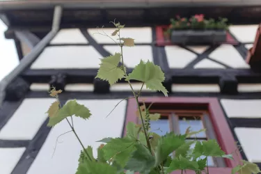 Fachwerkhaus
