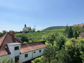 Ein malerisches Dorf mit Weinbergen und einer kleinen Kirche. Der Himmel ist klar und blau, und die Landschaft ist grün und üppig.