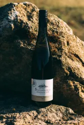 Eine Flasche Wein steht auf einem großen Stein. Der Hintergrund ist unscharf und zeigt eine natürliche Umgebung.