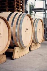 Eichenfässer lagern auf Holzgestellen in einer traditionellen Weinkellerei. Die Fässer sind aus hellem Holz und haben metallene Bänder.