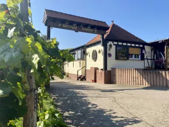 Weingut Harald Schäffer (© Weingut Harald Schäffer)