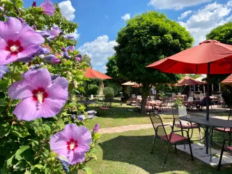 Terrasse Weinstube im Weingut Harald Schäffer