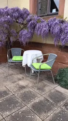 Zwei Stühle mit grünen Kissen stehen an einem kleinen Tisch. Über ihnen blühen lila Blumen an einer Wand.