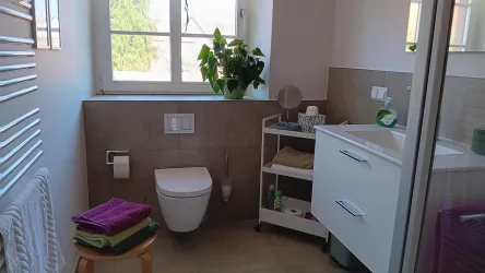 Ein modernes Badezimmer mit einer Dusche, einem WC und einer hellen Fensterfront. Verwöhnt mit Pflanzen und verschiedenen Handtüchern für eine angenehme Atmosphäre.