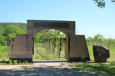 Ein Holzportal mit der Aufschrift "Deutsche Landwirtschaft" führt zu einem Weinberg. Im Hintergrund sind grüne Reben und ein klarer Himmel zu sehen.