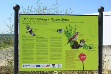 Sonnenberg 3 (© Tourismusverein Bad Bergzabern e.V.)