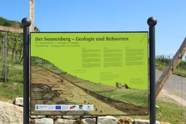 Sonnenberg 4 (© Tourismusverein Bad Bergzabern e.V.)