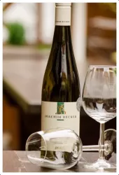 Weinflasche Joachim Becker (© Weingut Joachim Becker)