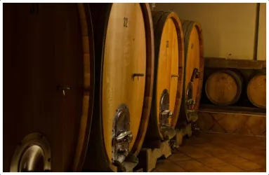 Weinfässer (© Weingut Joachim Becker)