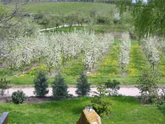 Blick vom Ost Balkon