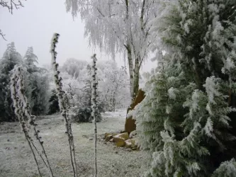 Winter (© Achim Cuntz)
