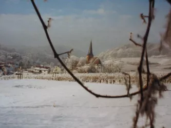 Winter, Bild 1 (© Achim Cuntz)