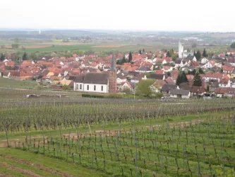 Rechtenbach (© Tina & Pepe)