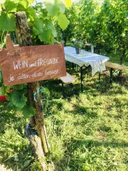 Ein Weinberg mit einem Holzschild, auf dem "WEIN und FREUNDE" steht. Im Hintergrund sind ein Tisch und Bänke zwischen den Weinreben zu sehen.