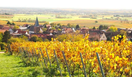 Schweigen von Sonnenberg bearbeitet