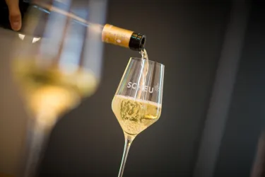 Ein Wein wird in ein elegantes Glas eingeschenkt. Im Hintergrund sind unscharfe Weingläser zu sehen.