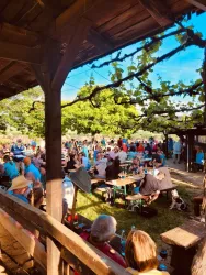 Eine lebhafte Veranstaltung im Freien mit vielen Menschen, die an Tischen sitzen. Im Hintergrund sind Bäume und ein blauer Himmel zu sehen.