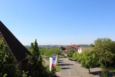 Eine ruhige Straße mit Bäumen und Häusern. Der Himmel ist klar und blau, und die Landschaft ist grün.