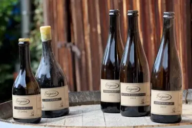 Eine Auswahl von fünf Flaschen Schaumwein steht auf einem Holzfass. Die Flaschen haben unterschiedliche Etiketten und Größen.