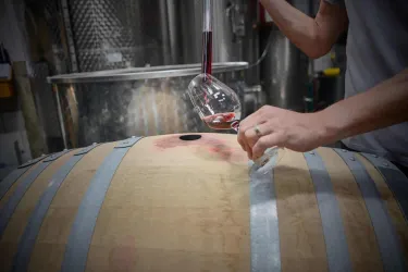 Weingut A. Grimm Keller (© Weingut A. Gimm)