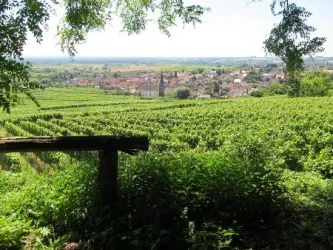 Aussicht