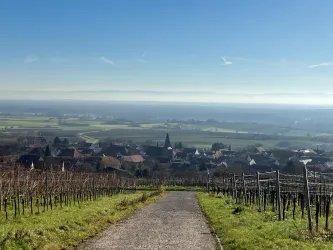 Umgebung 1