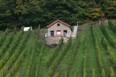Weinbergshäuschen am Seelberg (© Stadt Obermoschel)